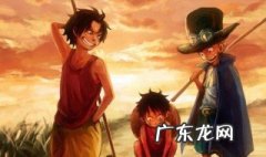 海贼王顶上战争是第几集动漫 海贼王顶上战争是第几集