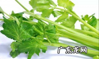十种刮油食物越吃越瘦 十种刮油食物越吃越瘦肥10斤暴瘦法