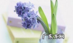 2019早安正能量简单一句话 2019早安正能量简单一句话
