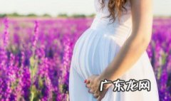 孕妇到底应不应该吃燕窝 孕妇有必要吃燕窝吗