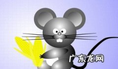 衣服粘到老鼠板怎么办小妙招 衣服粘到老鼠板怎么办