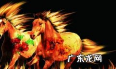 属马的几月出生最好命女孩子 属马的几月出生最好