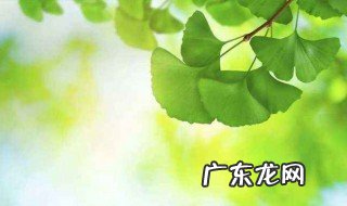 入伏从哪天算起 入伏从哪天算起到哪天结束2020