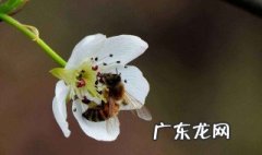 鼓励的话语 鼓励的话语简短精辟
