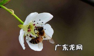 鼓励的话语 鼓励的话语简短精辟