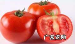 西红柿也是番茄吗 西红柿也是番茄吗英语