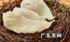 什么是燕窝