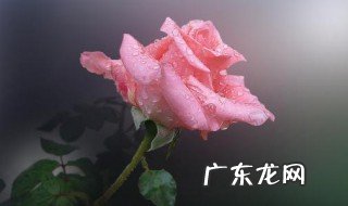 浪漫的话短句 浪漫的话