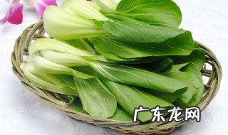 小白菜啥时候种 小白菜几月种最好