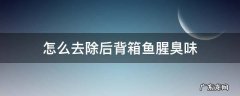 怎么去除箱子里的鱼腥味 怎么去除后背箱鱼腥臭味