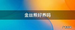 金丝熊好养吗 金丝熊好养吗温顺吗