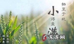 小满是什么意思啊 小满是什么季节 小满是什么意思啊