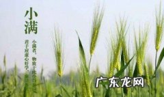 小满节气的风俗食物 小满节气