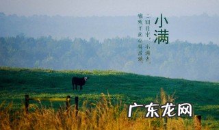 二十四节气小满是什么时候 小满是什么时候