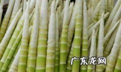 吃春笋的好处与坏处 春笋的营养价值及功效