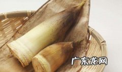 芦笋的营养价值及功效 笋的营养价值及功效