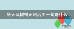 冬天栽树好不好 冬天栽树树正眠后面一句是什么