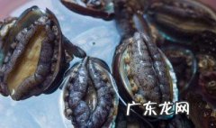 鲍鱼的功效及禁忌 鲍鱼的功效及禁忌全身都能吃