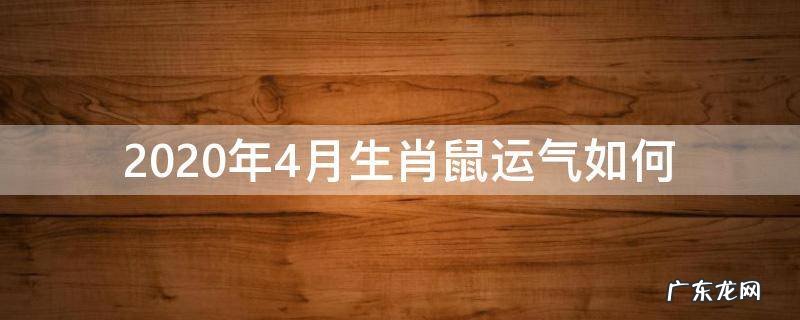 2020四月属鼠的运气怎么样 2020年4月生肖鼠运气如何