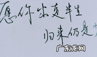 愿你出走半生归来仍是少年是什么意思 简介句子出处