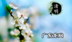 简单的清明节来历 简单的清明节来历20字