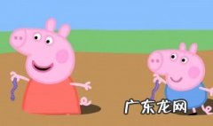蚯蚓有哪三部分组成 蚯蚓是由哪三部分组成