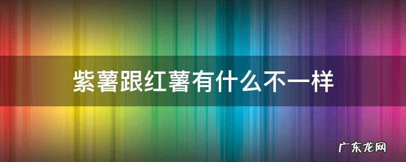 红薯和紫薯一样吗 紫薯跟红薯有什么不一样