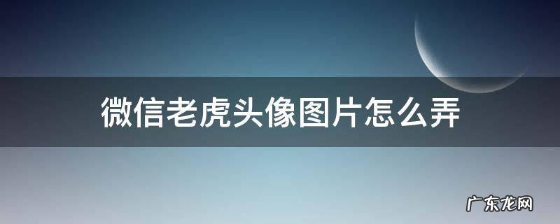 老虎头像 微信 微信老虎头像图片怎么弄
