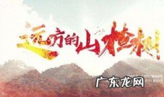 远方的山楂树结局罗永泽 远方的山楂树结局
