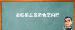 金钱榕盆景适合室内吗 金钱榕怎样养