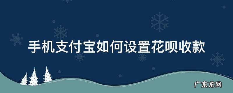 手机怎样设置花呗收款 手机支付宝如何设置花呗收款
