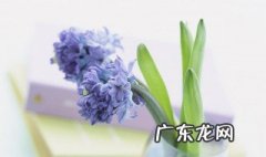 缅怀先烈的一段话 关于缅怀先烈的一段话