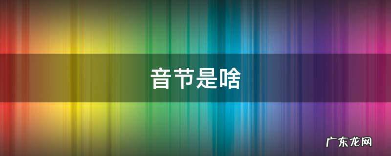 音节是啥 整体认读音节是啥
