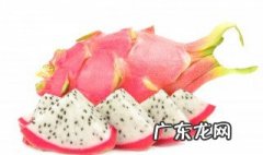 火龙果是什么植物的果实? 火龙果是仙人掌的果实吗