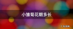 小雏菊花期多长时间大了还能开吗 小雏菊花期多长