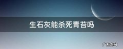 生石灰能杀死青苔吗 石灰可以杀死青苔吗