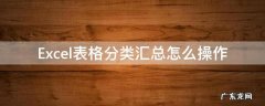 Excel表格分类汇总怎么操作 excel如何进行分类汇总