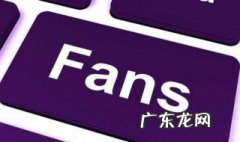 饭圈文化指什么? 饭圈文化指什么