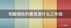 和睦相处的意思是什么三年级 和睦相处怎么造句三年级
