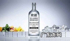 小鸟伏特加什么梗
