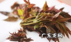 香椿怎么吃好吃又简单视频 香椿怎么吃好