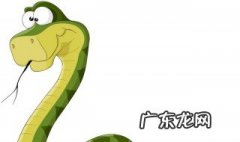 高三学生的梦到蛇预示着什么 高三女学生梦见蛇