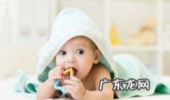 辅食添加顺序正确的一组是 辅食添加顺序