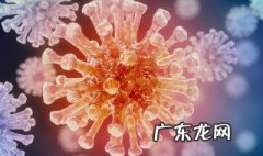 无症状感染指什么症状 无症状感染指什么