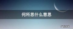 何所思的思是什么意思 何所思什么意思