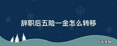 辞职后五险一金怎么转移到同单位省内的 辞职后五险一金怎么转移