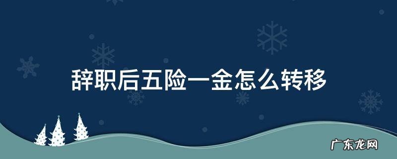辞职后五险一金怎么转移到同单位省内的 辞职后五险一金怎么转移