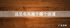 远见名苑属于哪个街道 远见名苑属于哪个区