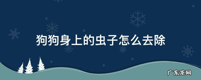 狗狗身上的虫子怎么去除 狗狗身上虫子怎么办