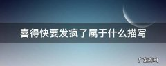 喜得快要发疯了属于什么描写 喜得快要发疯了表达的意思